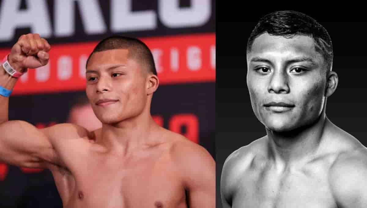 Pitbull Cruz Wikipedia, Wiki, Wife, Next Fight, Height, Weight, Age, Stats, Net Worth